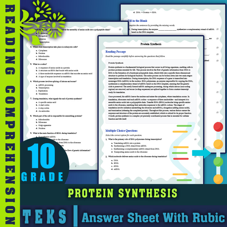 Grade 10 Science reading worksheets worksheet — Grade 10 Science | Protein Synthesis Reading Worksheet (PDF + Answer Key)…