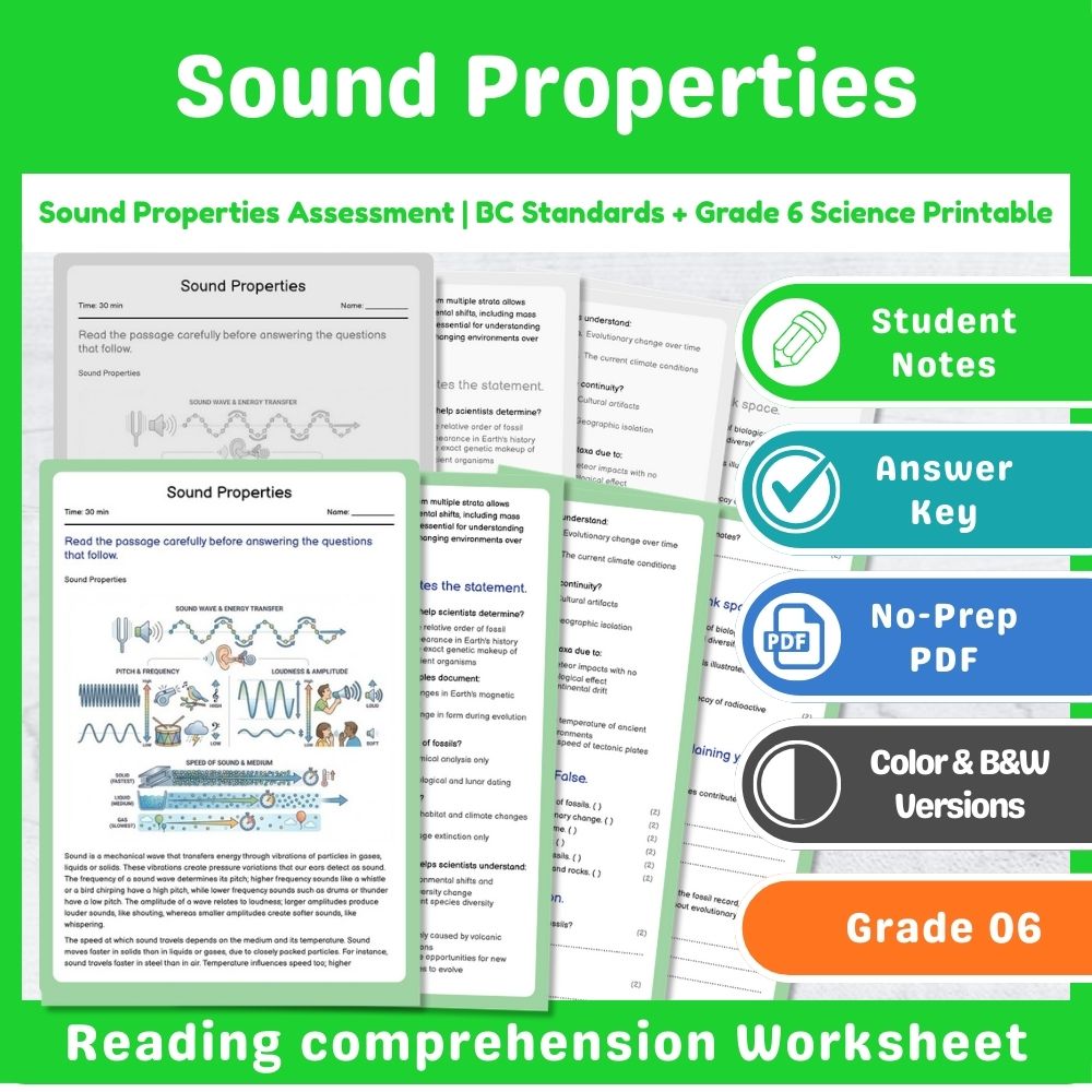 Grade 6 Science Assessment | Wave Interactions & Light Physics Mini Bundle — included worksheet 15