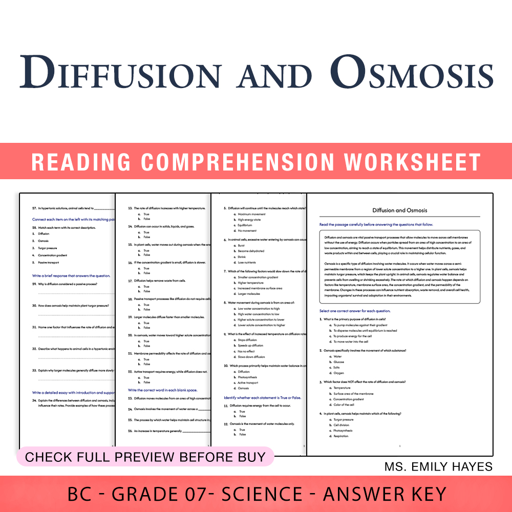 Grade 7 Science worksheet worksheet — Grade 7 Science | Diffusion and Osmosis Worksheet (PDF+ Answer Key) — page 1
