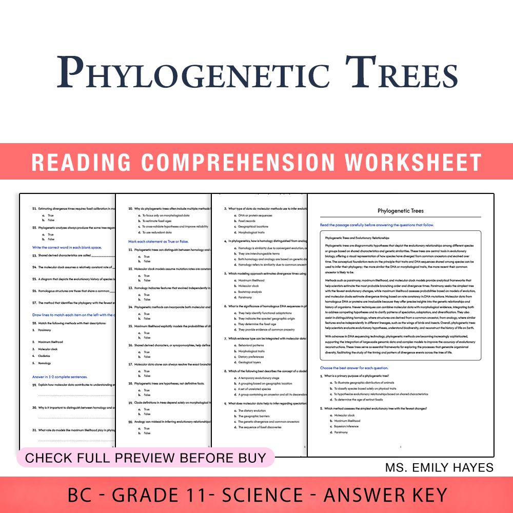 Grade 11 Science worksheet worksheet — 11th Grade Science | Phylogenetic Trees Worksheet (PDF + Answer Key) — page 1