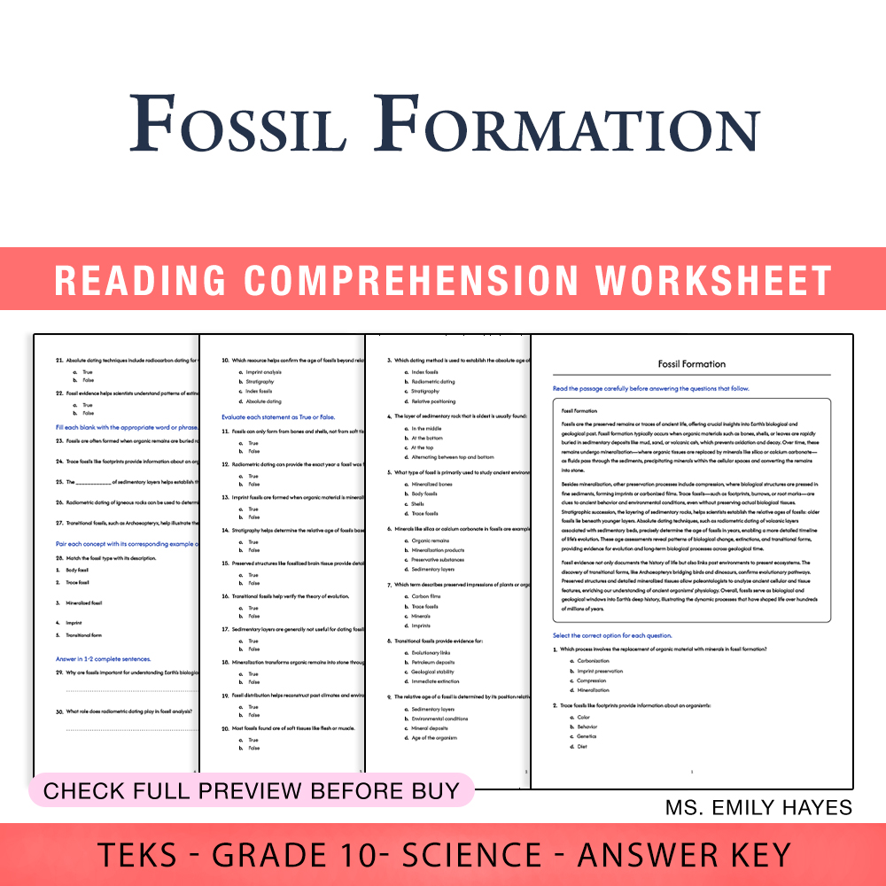 Grade 10 Science worksheet worksheet — 10th Grade Science | Fossil Formation Worksheet (PDF+ Answer Key) — page 1