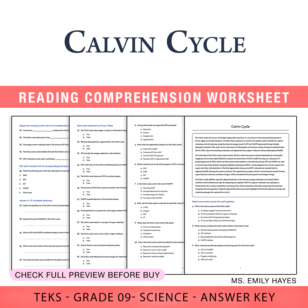 Grade 9 Science worksheet worksheet — Grade 9 Science | Calvin Cycle Worksheet (PDF+ Answer Key) — page 1