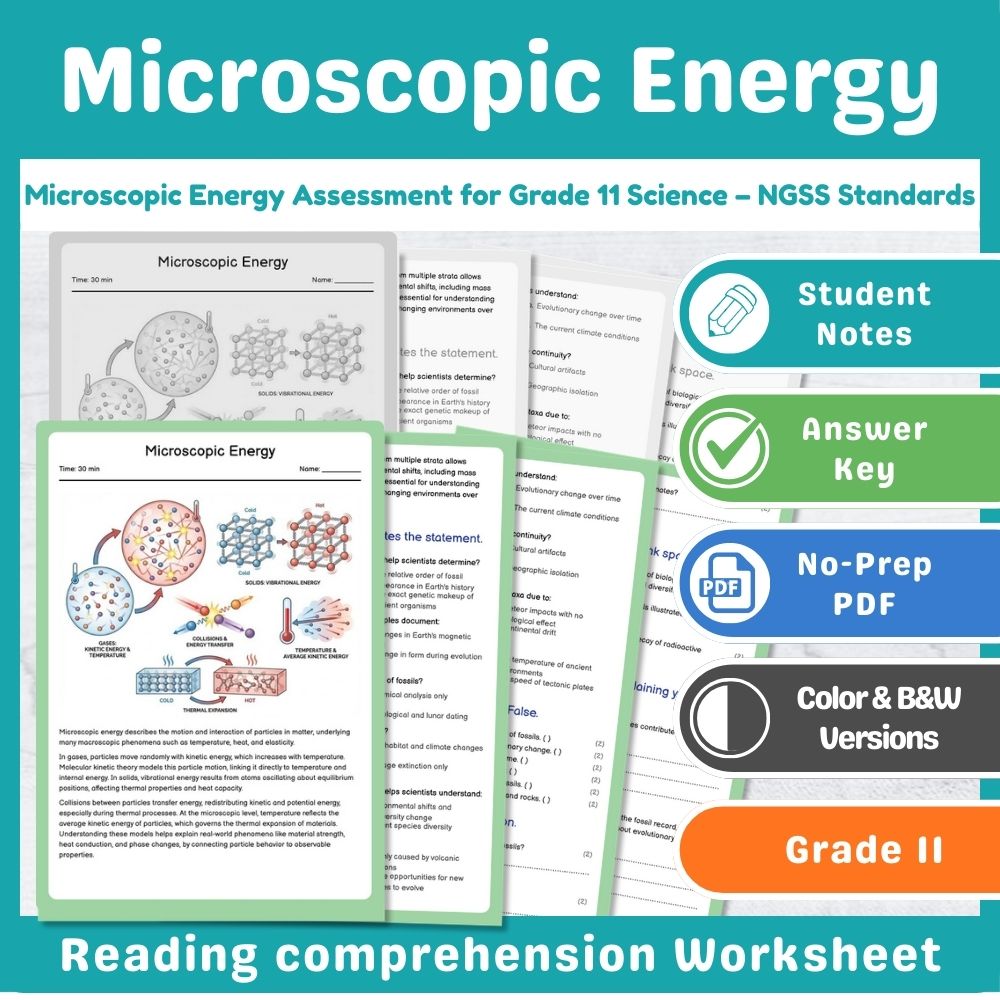 Grade 11 Science Power & Energy Assessment | NGSS Standards-Aligned Mini Bundle — included worksheet 5
