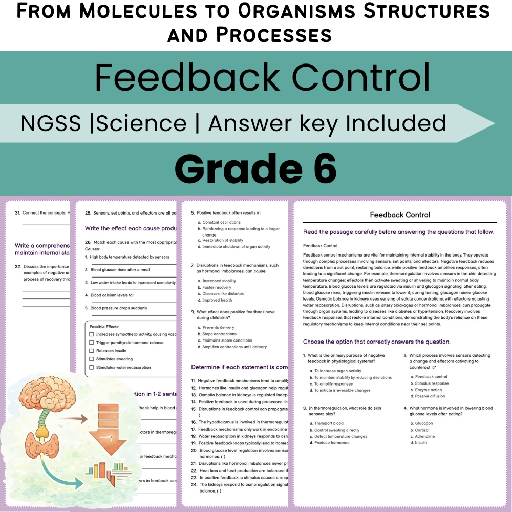 Grade 6 Science NGSS Worksheet Bundle | Comprehensive STEM Practice Pack — included worksheet 47